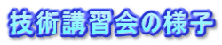ZpuK̗lq