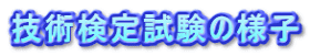 Zp莎̗lq